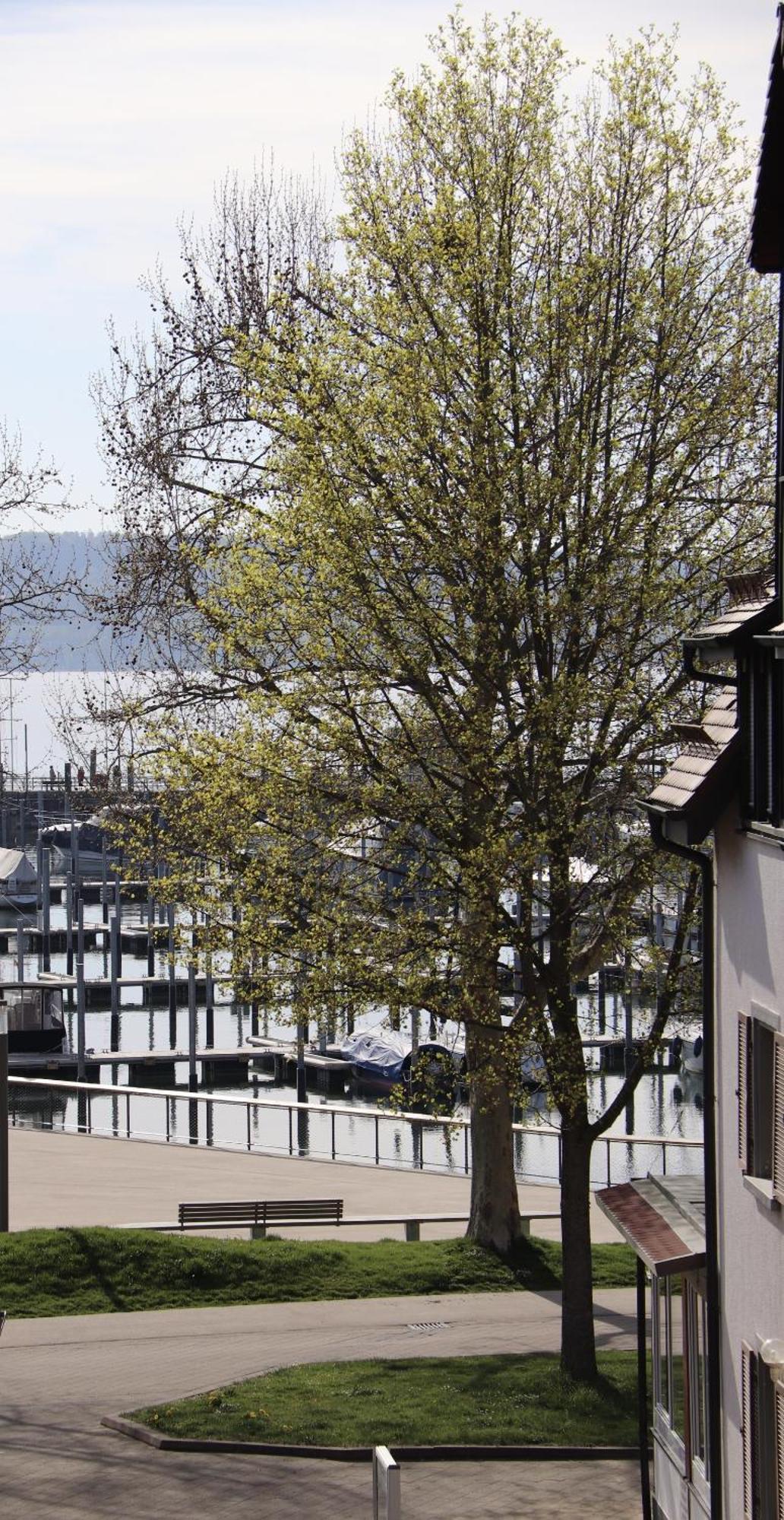 Gaestehaus Maeder Am Hafen Uhldingen-Mühlhofen Dış mekan fotoğraf