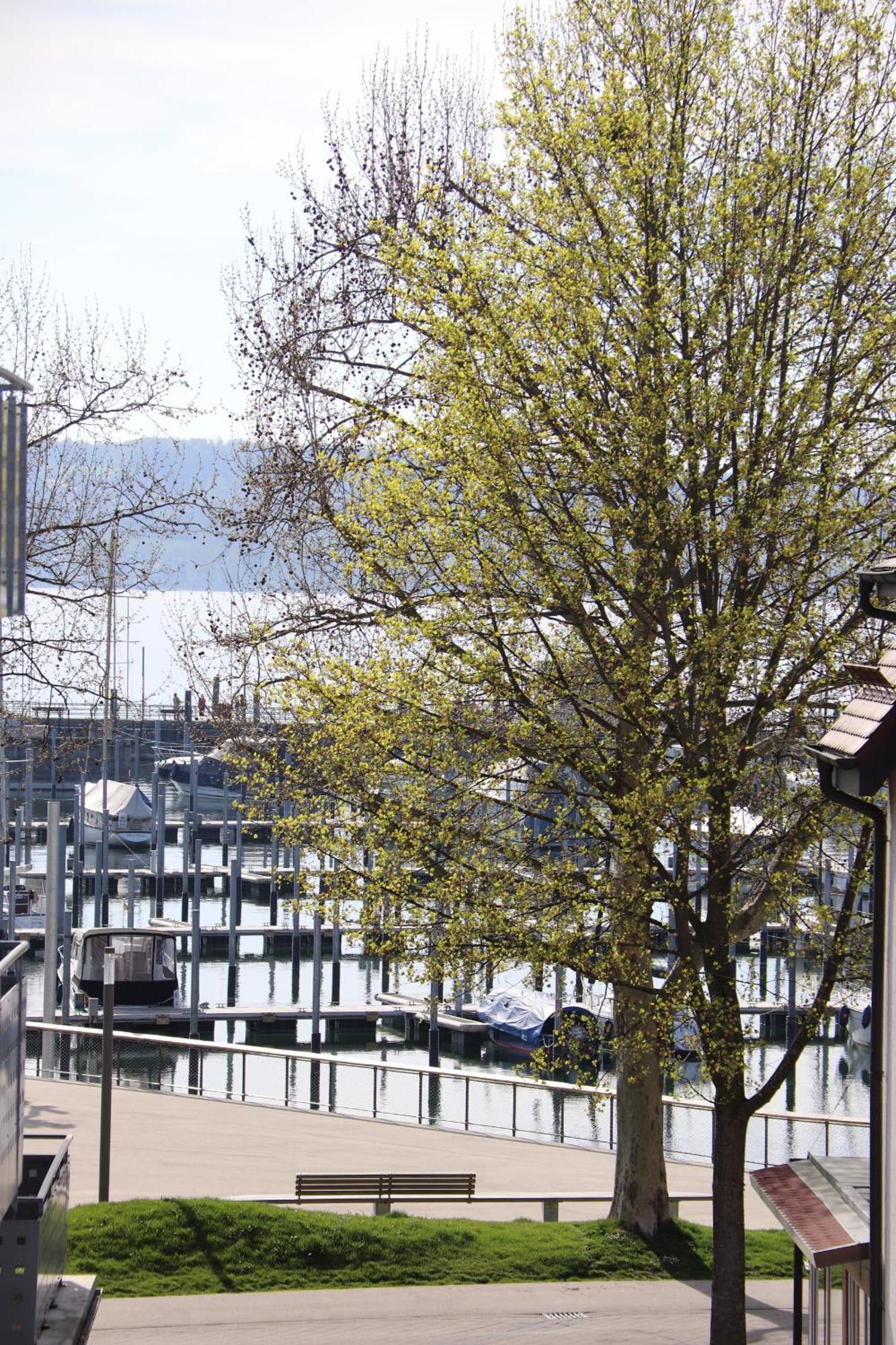 Gaestehaus Maeder Am Hafen Uhldingen-Mühlhofen Oda fotoğraf