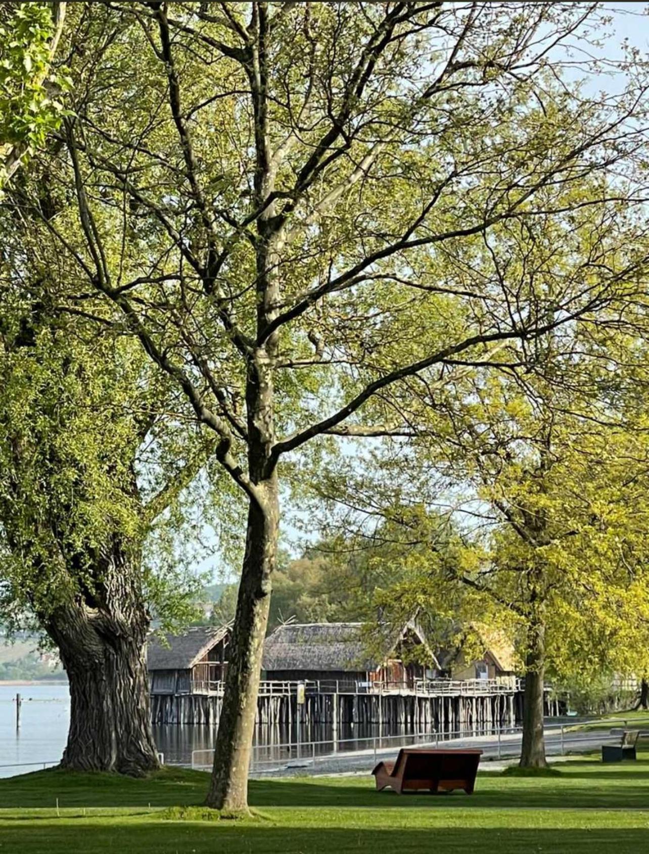 Gaestehaus Maeder Am Hafen Uhldingen-Mühlhofen Dış mekan fotoğraf