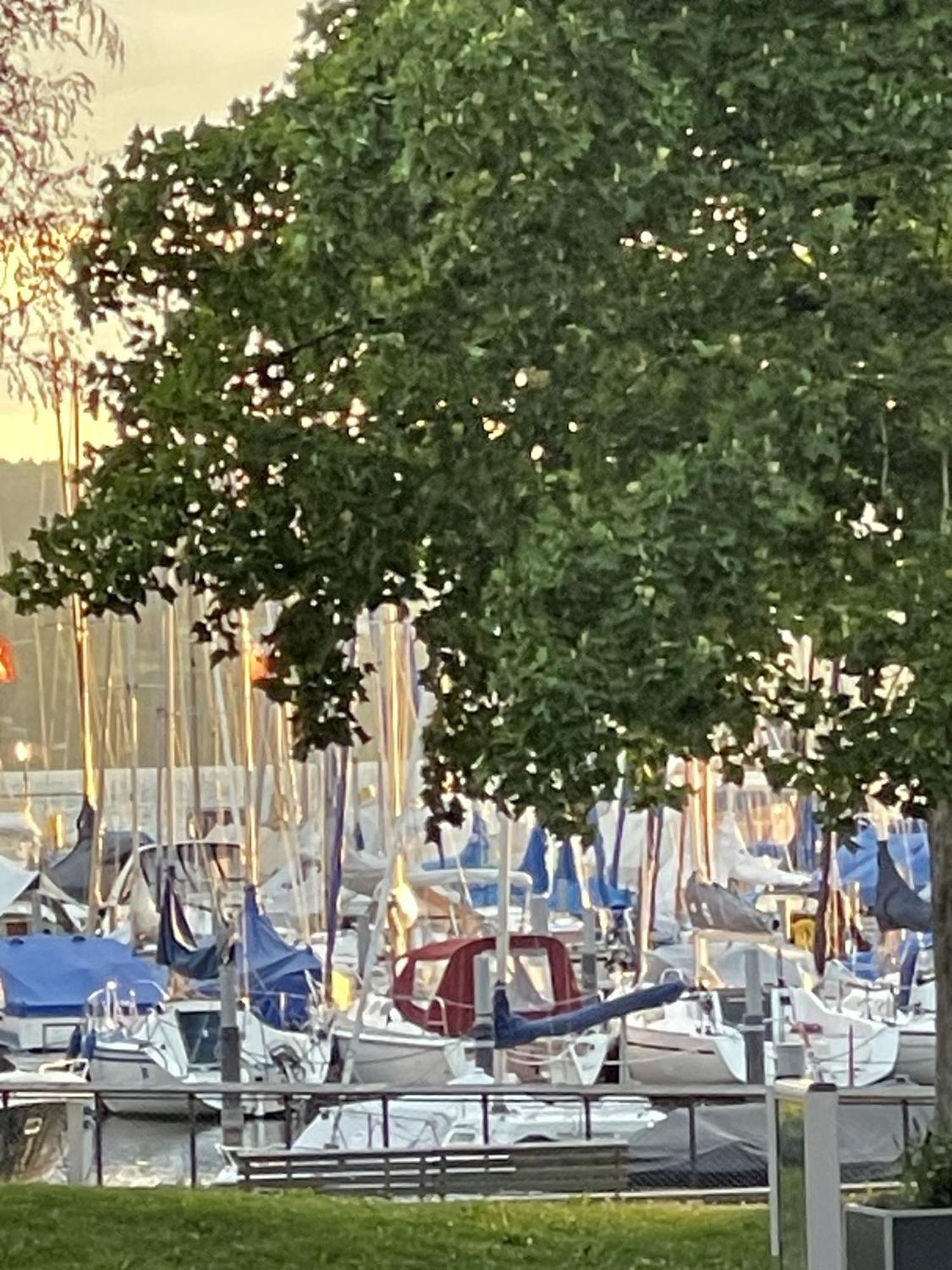 Gaestehaus Maeder Am Hafen Uhldingen-Mühlhofen Dış mekan fotoğraf